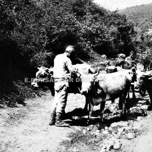 Çekirge Eski Bursa Fotoğrafları